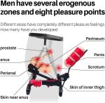 Prostate Massager Anal Plug for Men Wearable Pleasure Device - Image 2