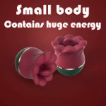 2 In 1 Rose Kiss Tongue Licking Rose Flower Vibrator - Image 5