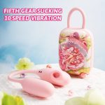 Lurevibe Magic Suitcase Suction Vibration Clitoral Stimulator - Image 2