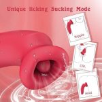 G Spot Vibrator Sucking Vibrator 10 Vibration Modes and 10 Kissing Modes - Image 6
