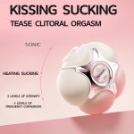 Mesanel PinkPo Slapping Heating Clitoral Suction Vibrator - Image 4