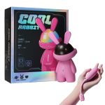 Fashion Ornaments Rabbit Clitoris Sucking Vibrator Set With Dust Cover