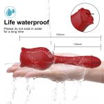 Clitoris Sucking  Vibrator For Women Stimulator Nipple Clit  Vacuum Dildo Vagina - Image 4