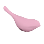Bubble Bird 10 Frequency Sucking Vibrator for Women