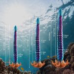 15.7‘’ - 21.2‘’ Realistic Tentacle Huge Fantasy Dildo Silicone Anal Dilator - Image 5