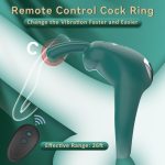Lurevibe - Rabbit Vibrating Cock Ring Adult Sex Toys with Clitoral Vibrator - Image 6