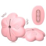 Wireless Nipple Clamp Vibrator 10 Modes 3 Clamping Forces Waterproof Nipple toys - Image 10